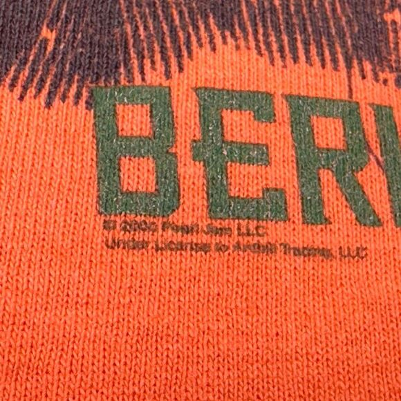 Vintage Anvil 2000 Pearl Jam Berlin Tour Crew Neck Band Tee - Size Large - Picture 3 of 9